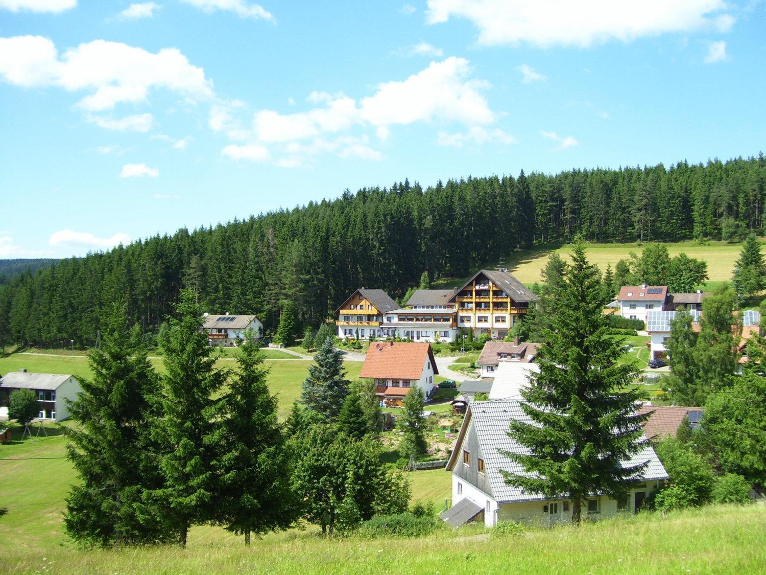 Auerhahn Bed And Breakfast - Black Forest - Waldhotel Eisenbach Kültér fotó