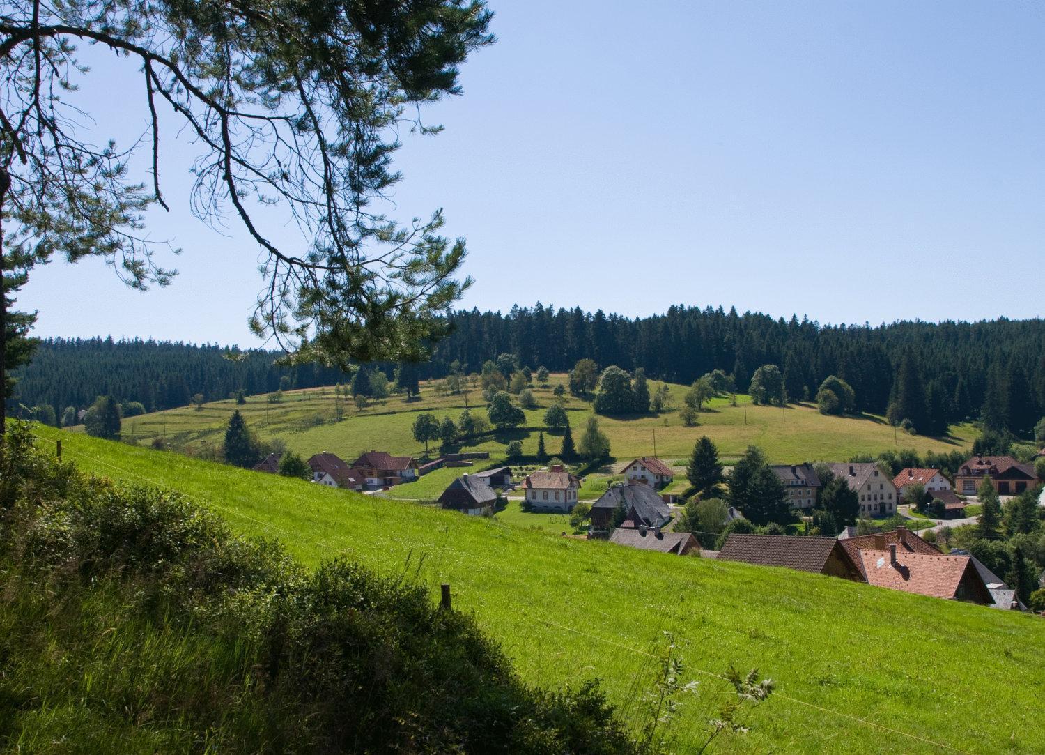 Auerhahn Bed And Breakfast - Black Forest - Waldhotel Eisenbach Kültér fotó