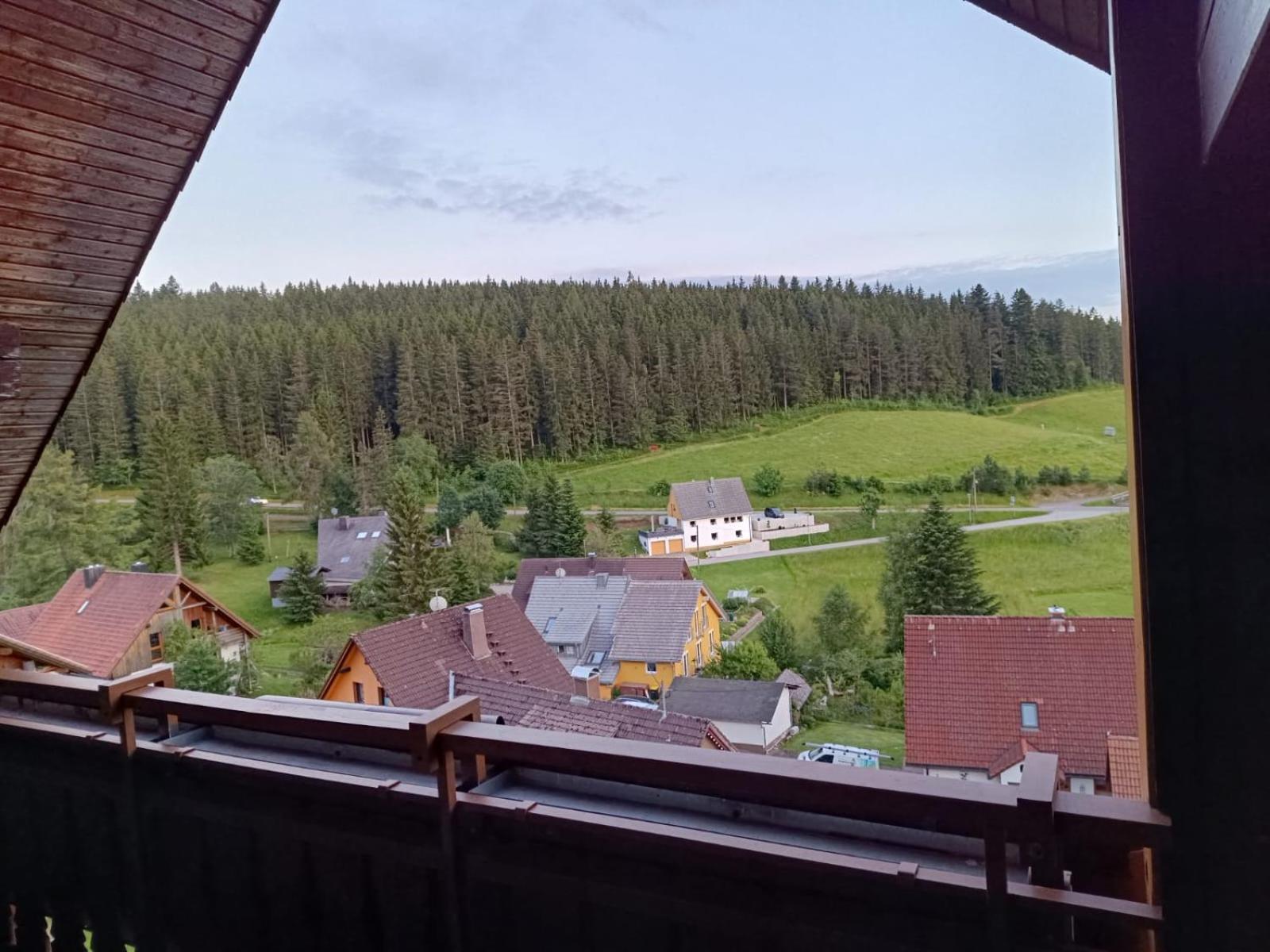 Auerhahn Bed And Breakfast - Black Forest - Waldhotel Eisenbach Kültér fotó