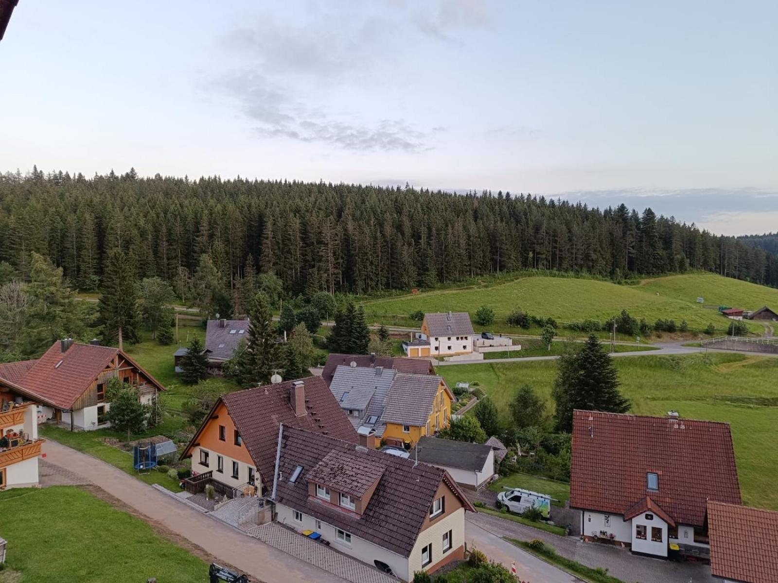 Auerhahn Bed And Breakfast - Black Forest - Waldhotel Eisenbach Kültér fotó