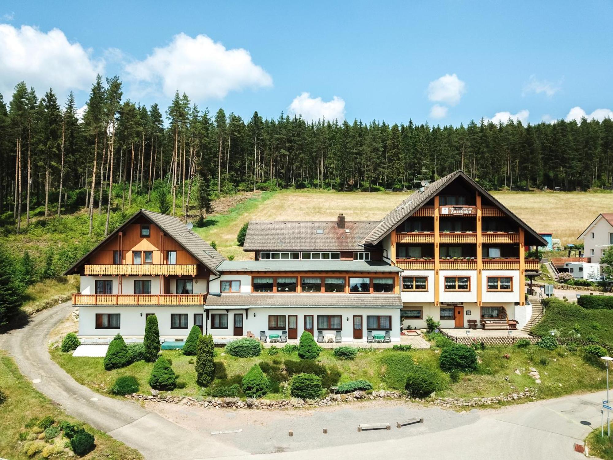 Auerhahn Bed And Breakfast - Black Forest - Waldhotel Eisenbach Kültér fotó