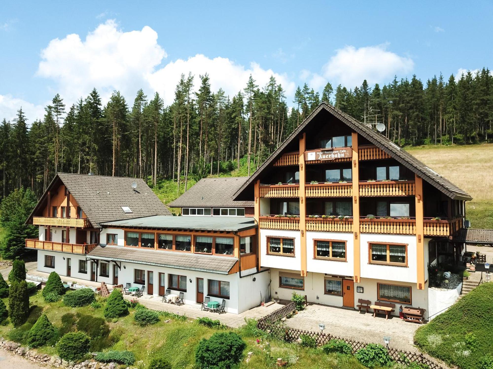 Auerhahn Bed And Breakfast - Black Forest - Waldhotel Eisenbach Kültér fotó