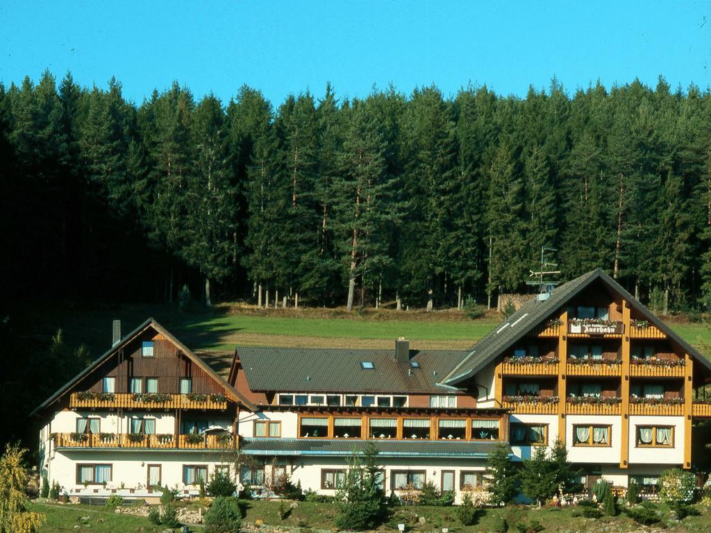 Auerhahn Bed And Breakfast - Black Forest - Waldhotel Eisenbach Kültér fotó