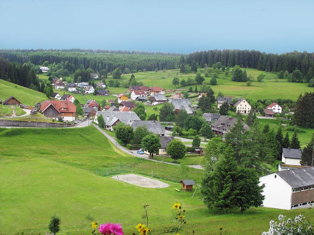 Auerhahn Bed And Breakfast - Black Forest - Waldhotel Eisenbach Kültér fotó